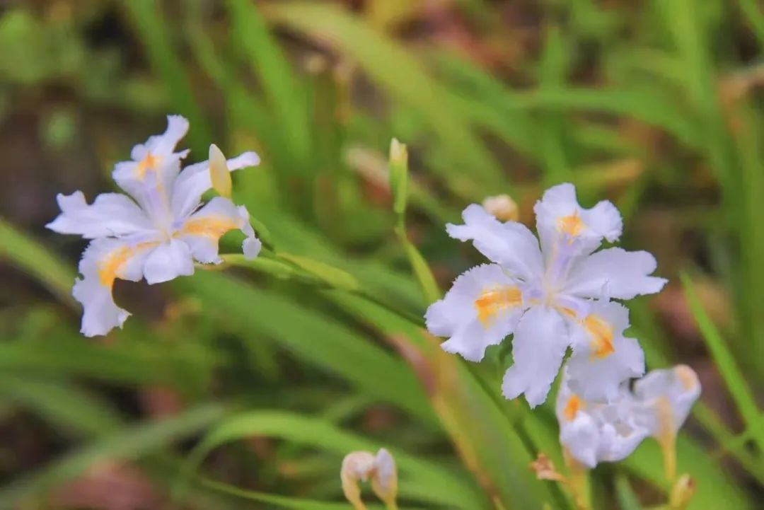 XKTY.COM-星空(中国)