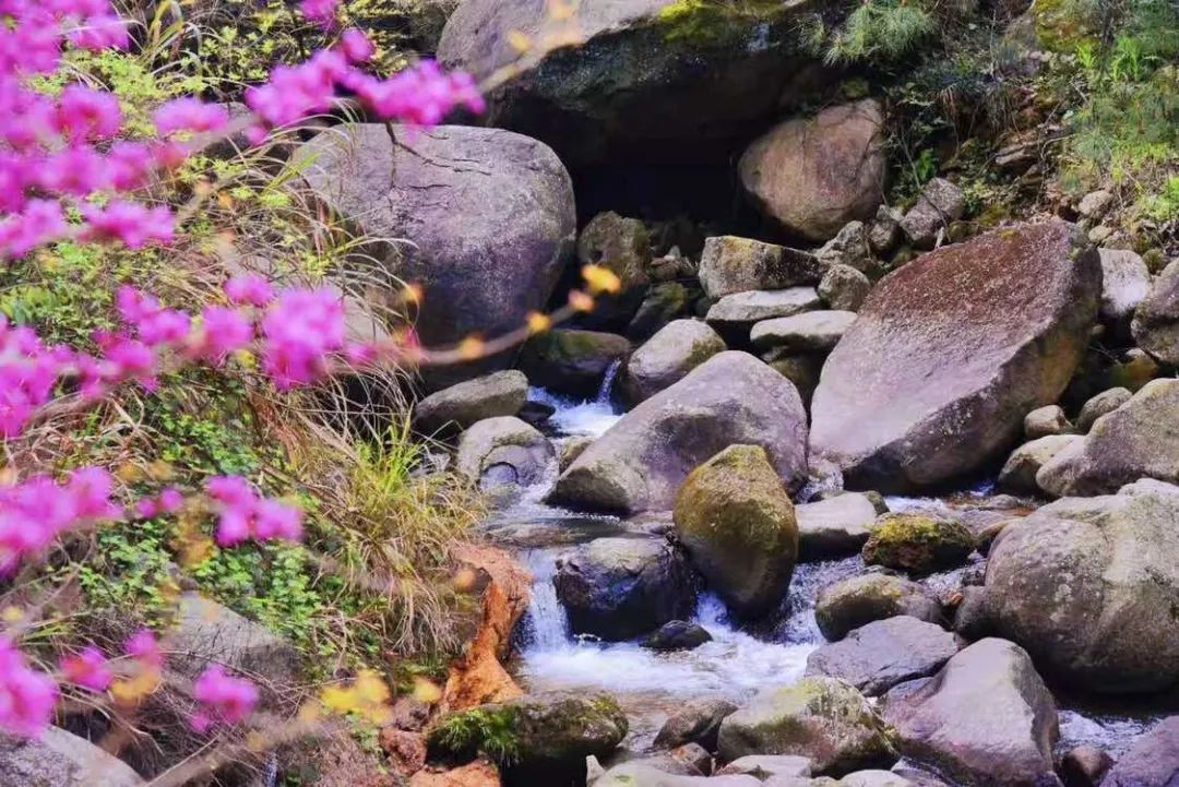 XKTY.COM-星空(中国)