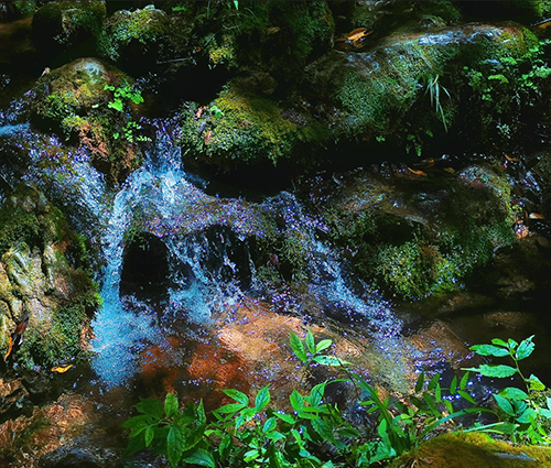 XKTY.COM-星空(中国)